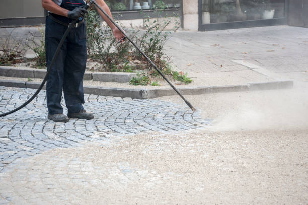 Best Dumpster Area Cleaning  in Kingsville, TX