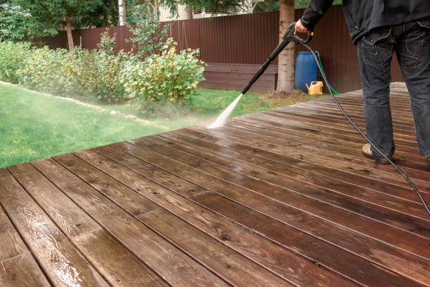 Best Solar Panel Cleaning  in Kingsville, TX